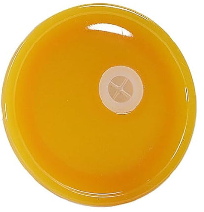 Colored Lids